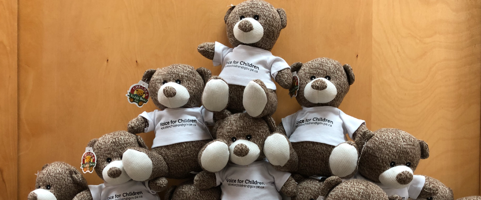 Voice For Children Bears